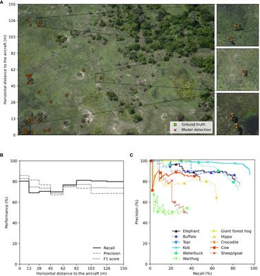 Surveying wildlife and livestock in Uganda with aerial cameras: Deep Learning reduces the workload of human interpretation by over 70%